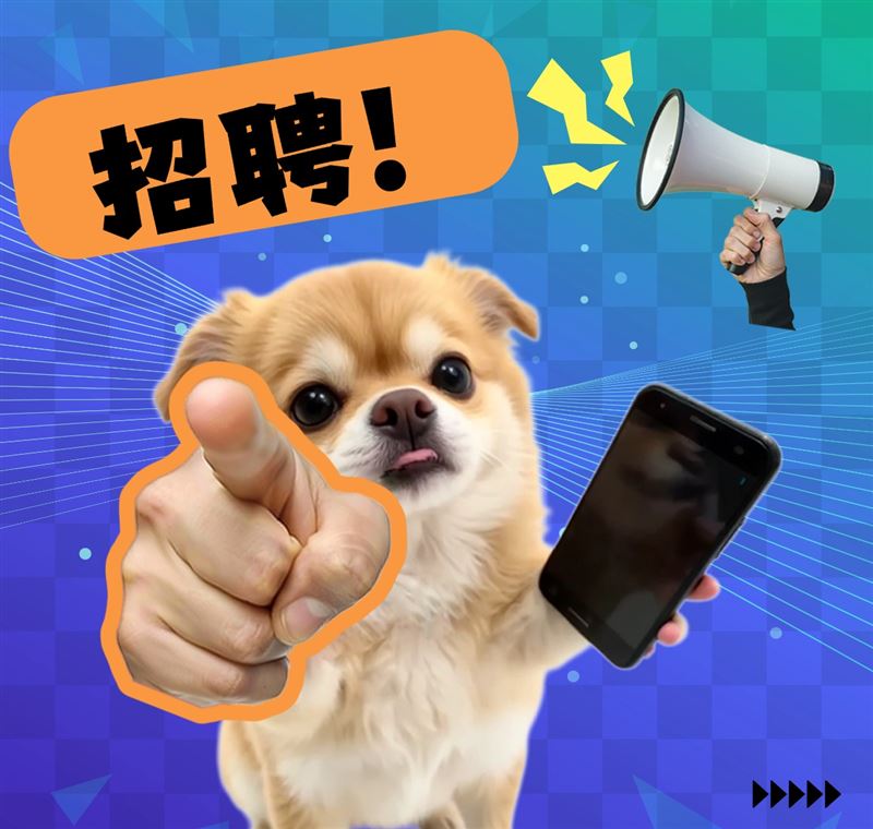 招募视频主播，语音厅主播，管理